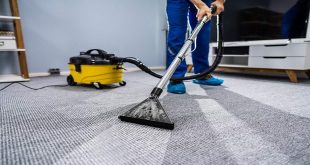 10 Reasons Why You Should Call The Carpet Cleaning Company