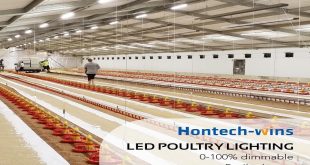 How to Install a Lighting System for a Broiler