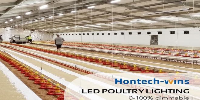 How to Install a Lighting System for a Broiler