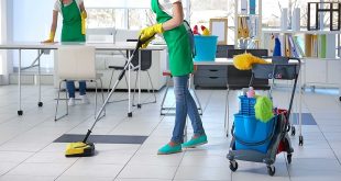 5 Reasons Why Hiring A Carpet Cleaning Housekeeping Company Is Worth It