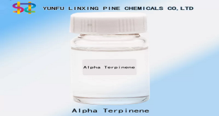 Alpha Terpinene: What You Need To Know About This Essential Ingredient