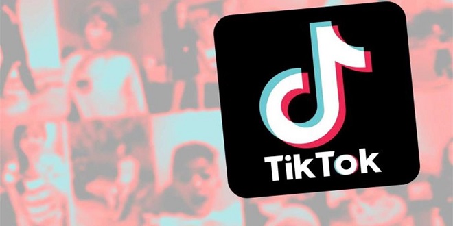 Best TikTok video downloads