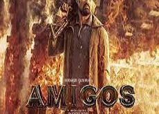 Amigo