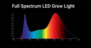 Understanding The Benefits Of Full-Spectrum LED Grow Lights