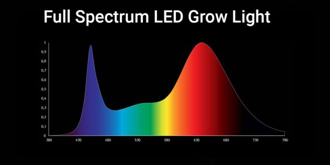 Understanding The Benefits Of Full-Spectrum LED Grow Lights
