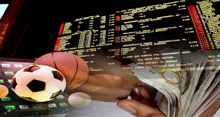 How to Gain an Edge When Sports Betting: Advanced Strategies for Success