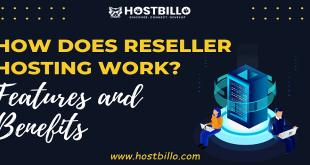 How Does Reseller Hosting Work? Features and Benefits