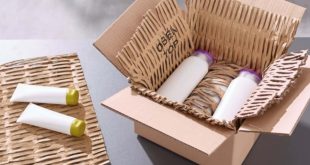Exploring the Eco-Friendly Benefits of Cardboard Boxes and Bubble Rolls