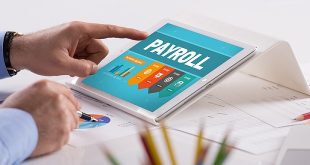 The Benefits of Using HR Management Tools for Payroll Services