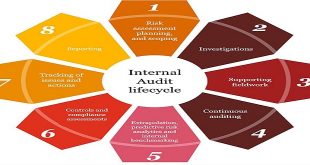 Audit Data Analytics and Continuous Monitoring: Revolutionizing the Audit Process