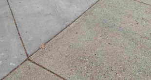 Maintenance Tips for Your Newly Replaced Concrete Driveway