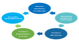A Comprehensive Overview of Malware Incident Response