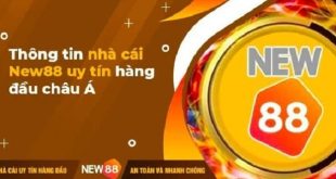  New88 The number 1 classy bookmaker from Asia