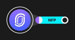 Introduction to NFP Coin Transactions