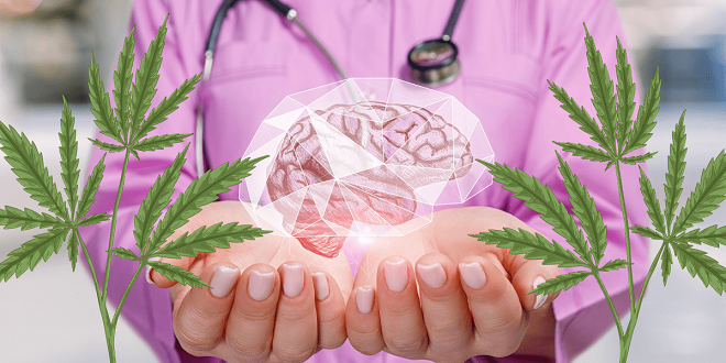 Cannabis and Mental Health: Understanding Its Calming Effects