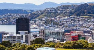 Important Things To Consider Before Relocating To Wellington