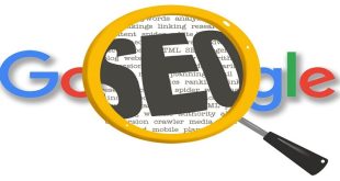 Expert SEO Service in Scarborough: Power Up Your Authority with Link Building