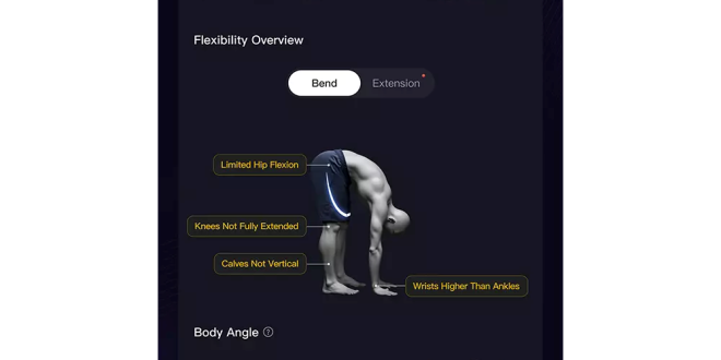 How to set up a smart home gym in a small apartment.