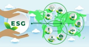 From Compliance To Culture: How ESG Consulting Drives Organisation-Wide Sustainability Mindset