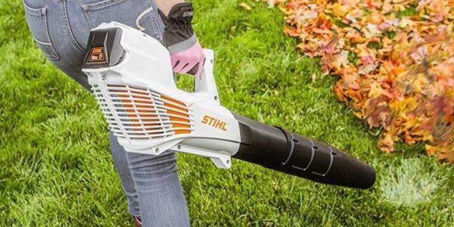 Leaf Blower Buying Guide: Find the Right Tool for Your Yard Size