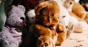 What to Look for in a Wholesale Toy Supplier in Australia for Consistent Stock