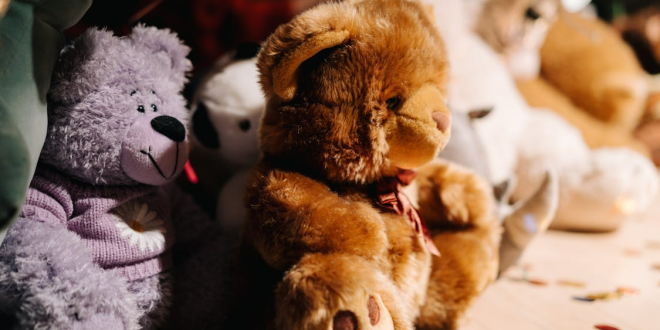 What to Look for in a Wholesale Toy Supplier in Australia for Consistent Stock
