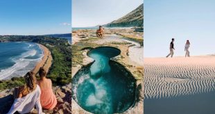 Experience the Best of Sydney: A Guide to Perfect Day Trips