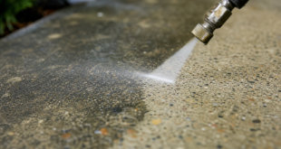 Pressure Washing vs. Soft Washing in Victoria, British Columbia: A Safer Surface Cleaning Guide